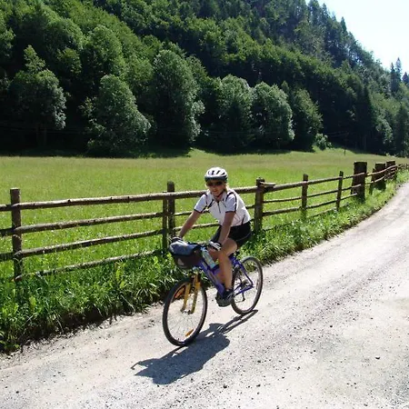 Πανσιόν And Vive