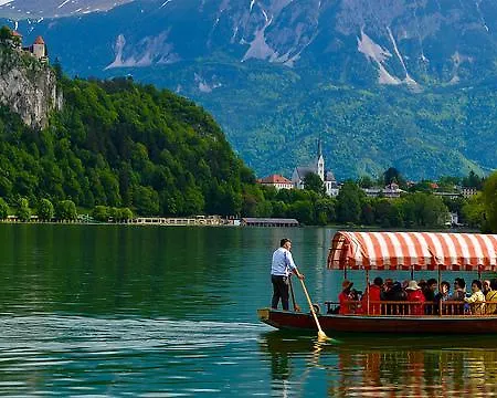 And Vive Πανσιόν 3*