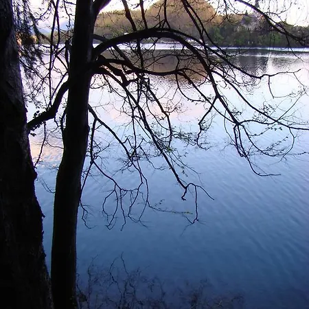 And Vive Πανσιόν