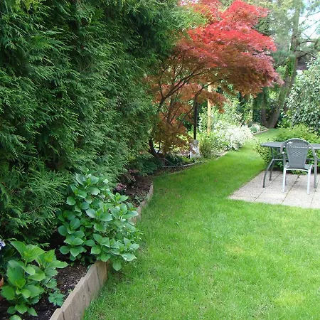 Πανσιόν And Vive Μπλεντ