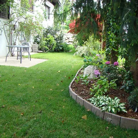 Guest house And Vive