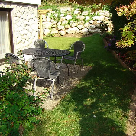 And Vive Μπλεντ