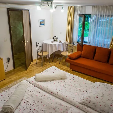 And Vive Πανσιόν Μπλεντ