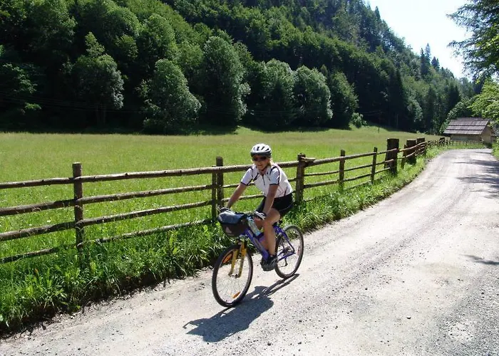 게스트하우스 And Vive