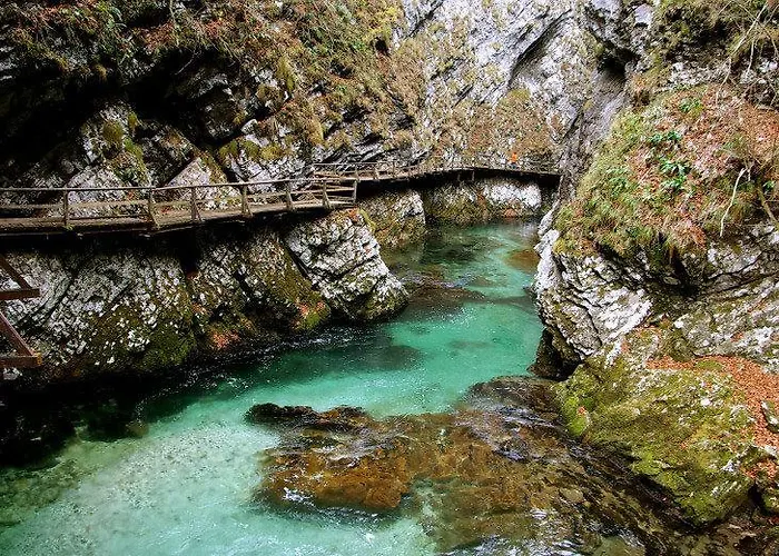 And Vive 게스트하우스