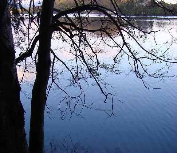 And Vive 게스트하우스