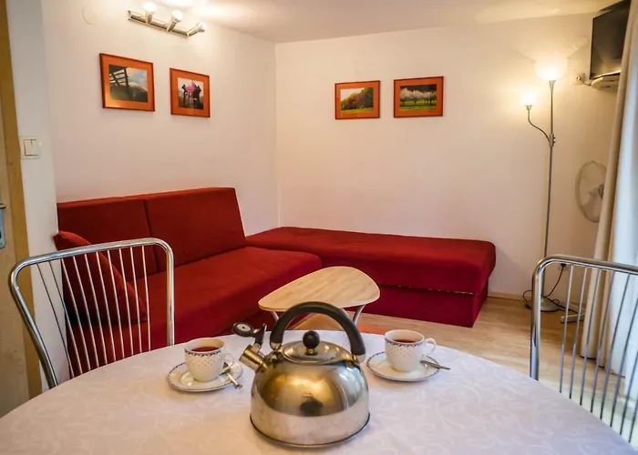 And Vive 게스트하우스 3*