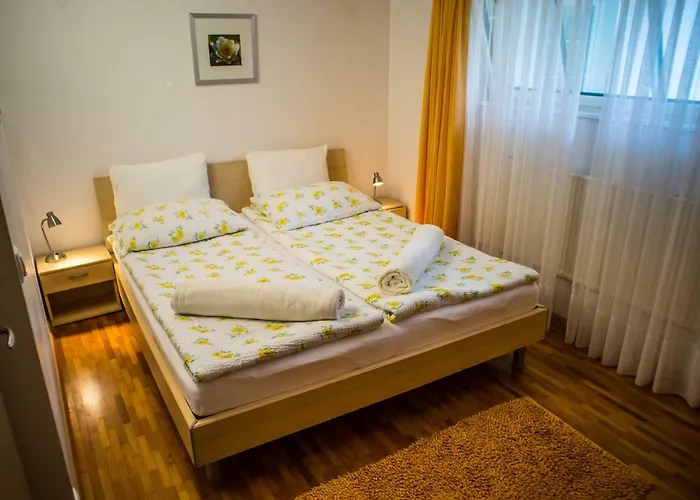 게스트하우스 And Vive