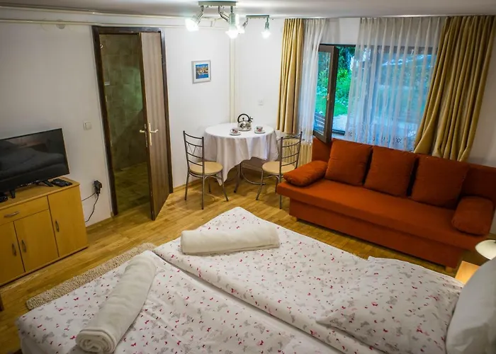 And Vive 게스트하우스 블레드